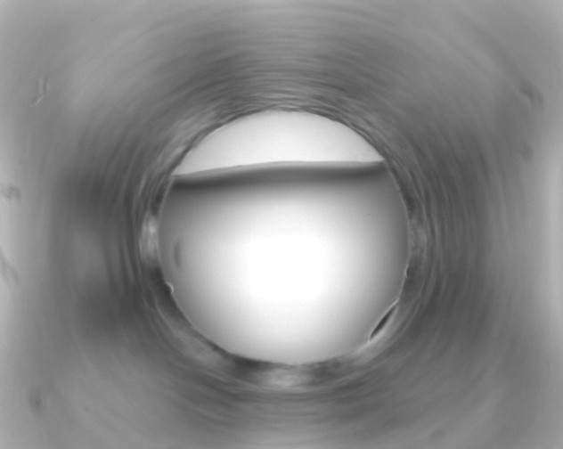 X0000091340094200708101027