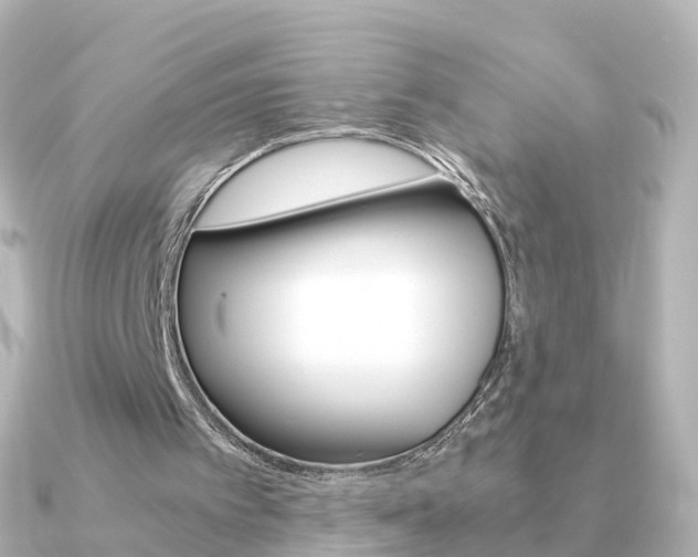 X0000091340097200708101026