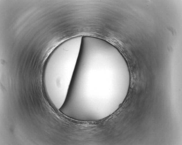 X0000091340098200708101026