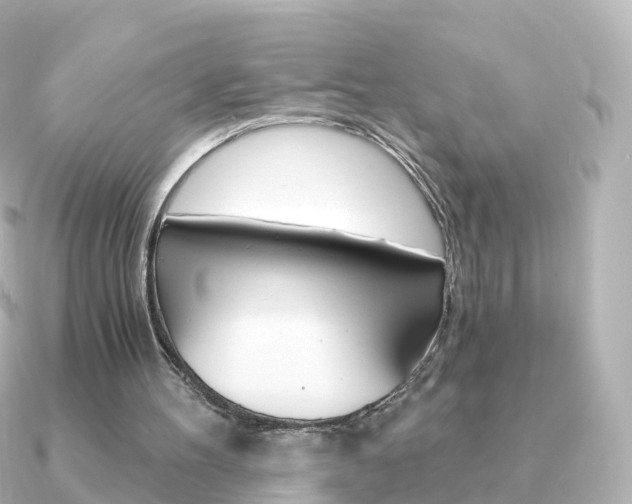 X0000091340100200708101026