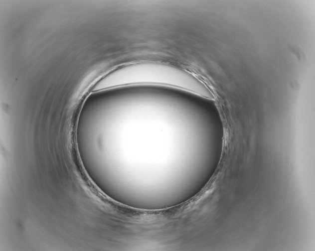 X0000091340101200708101026