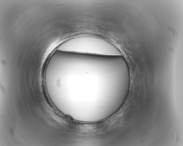 X0000091340102200708101026