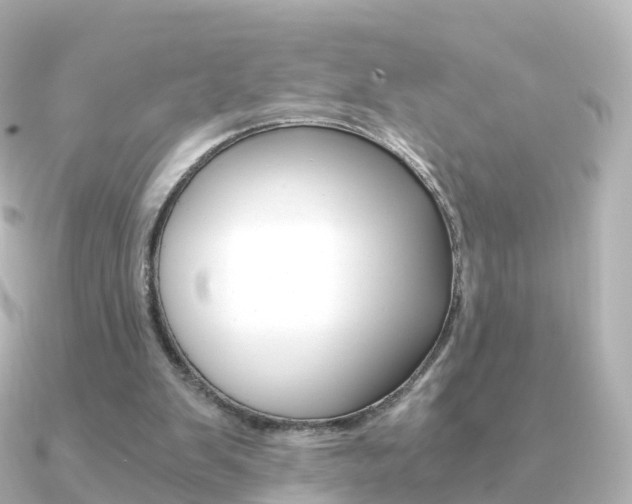 X0000091340103200708101026