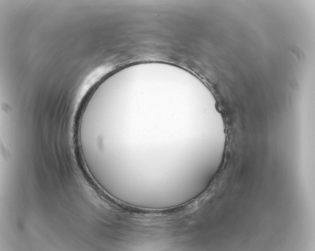 X0000091340104200708101026