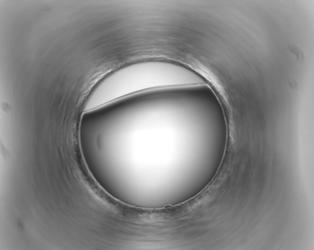 X0000091340105200708101026