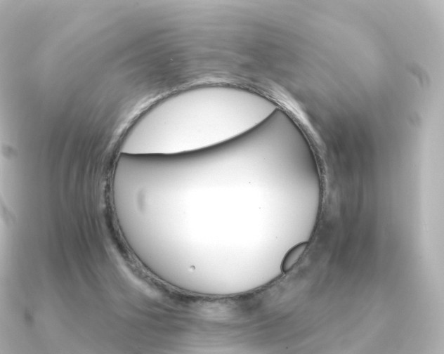 X0000091340106200708101026