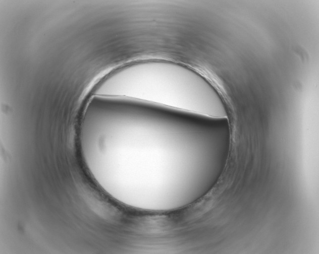 X0000091340108200708101026