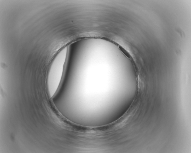 X0000091340109200708101026