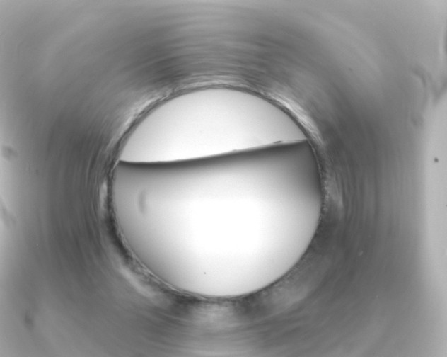 X0000091340110200708101026