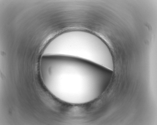X0000091340111200708101026