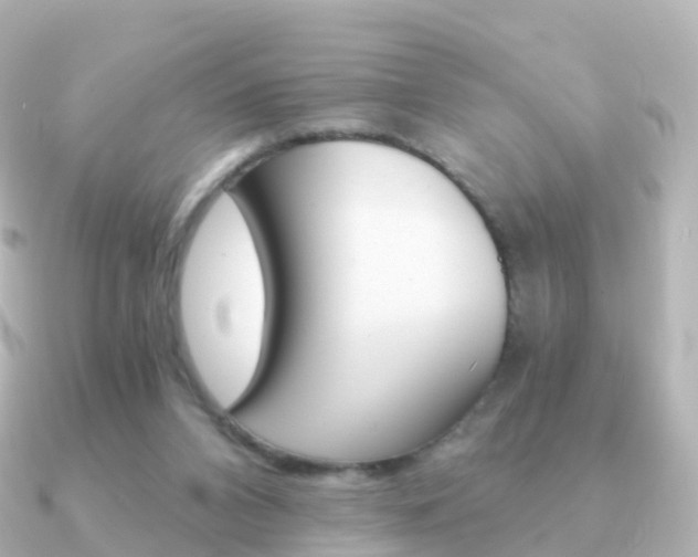 X0000091340112200708101026