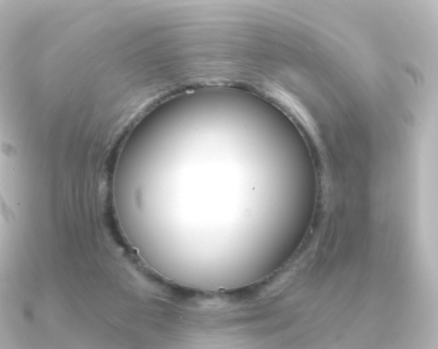 X0000091340113200708101026