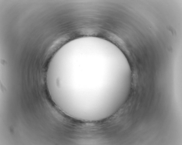 X0000091340114200708101026