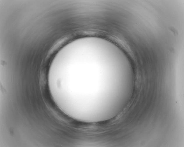 X0000091340116200708101026
