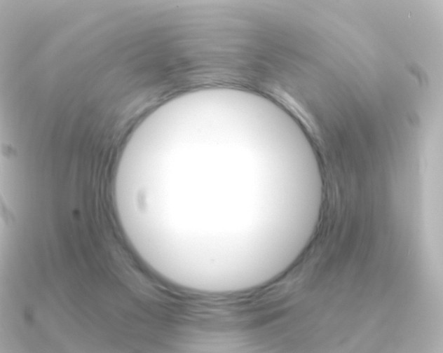 X0000091340117200708101026