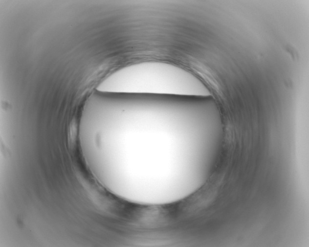 X0000091340118200708101026