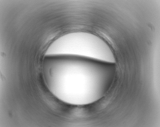 X0000091340119200708101026