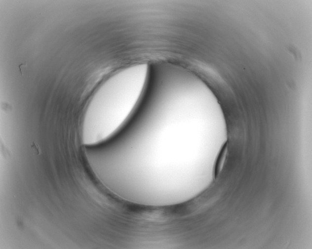 X0000091340120200708101026