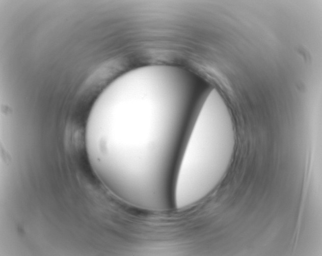 X0000091340123200708101026
