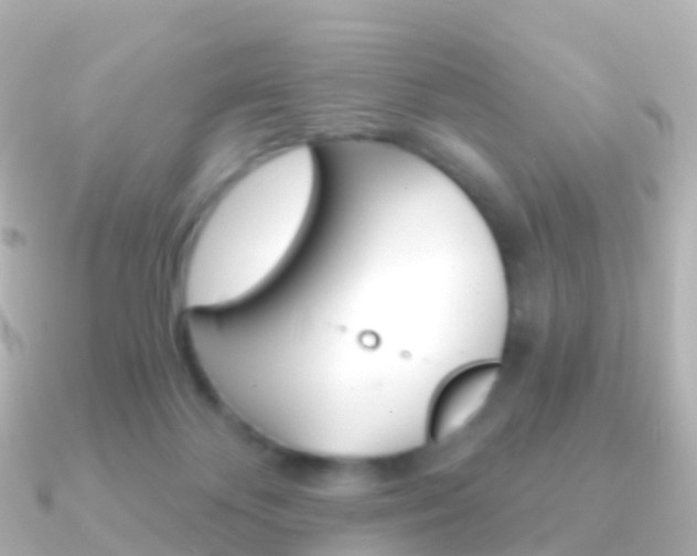 X0000091340124200708101026