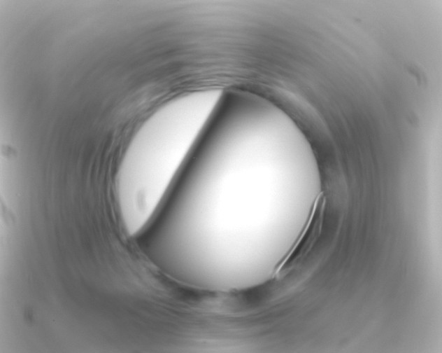 X0000091340125200708101026