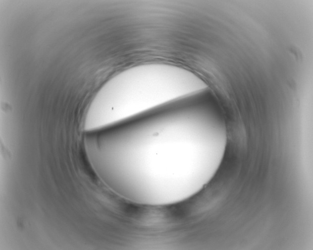 X0000091340127200708101026