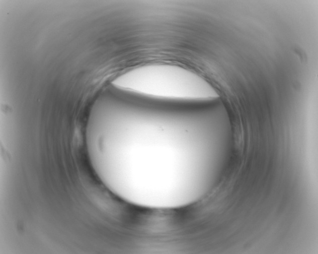 X0000091340128200708101026