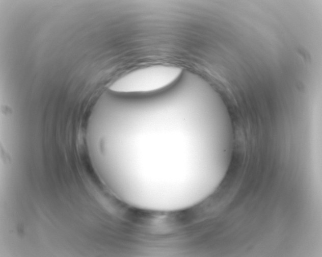 X0000091340130200708101026