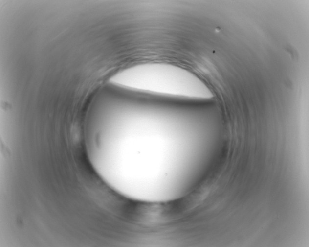 X0000091340131200708101026