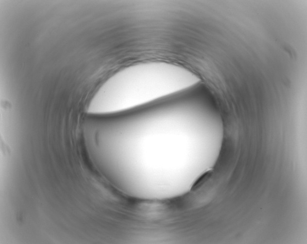 X0000091340133200708101026