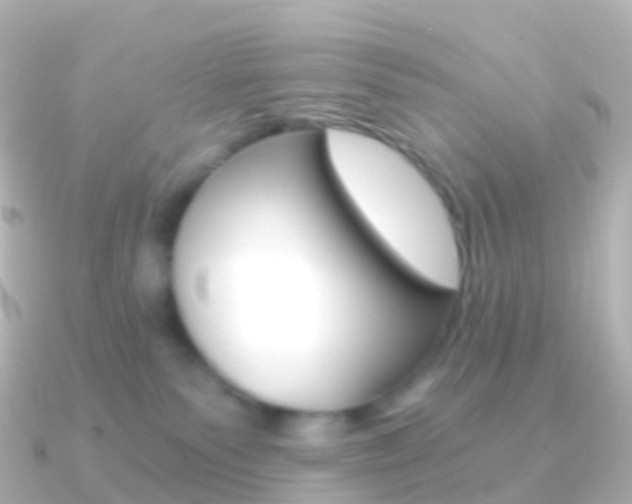 X0000091340135200708101026