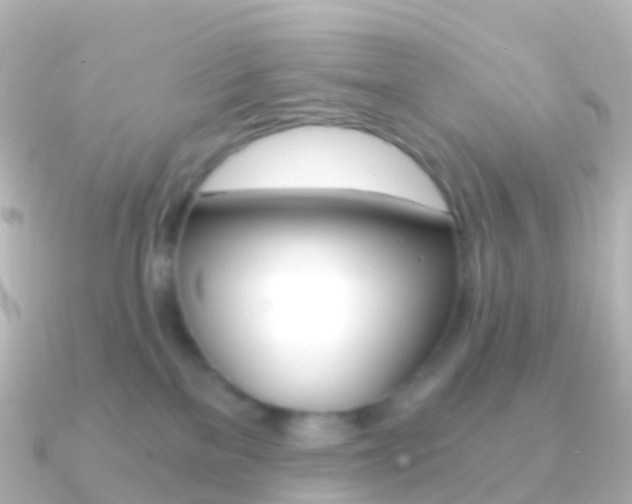 X0000091340137200708101026