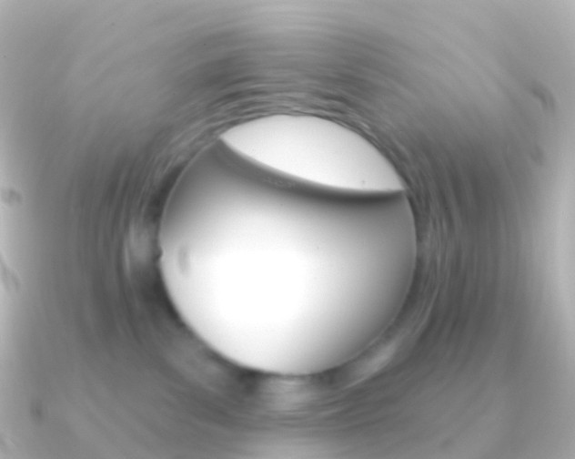 X0000091340139200708101026