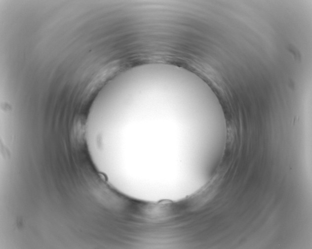 X0000091340142200708101026