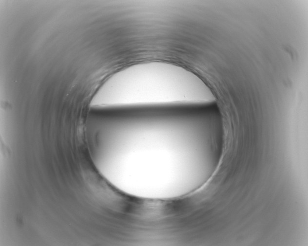X0000091340144200708101026