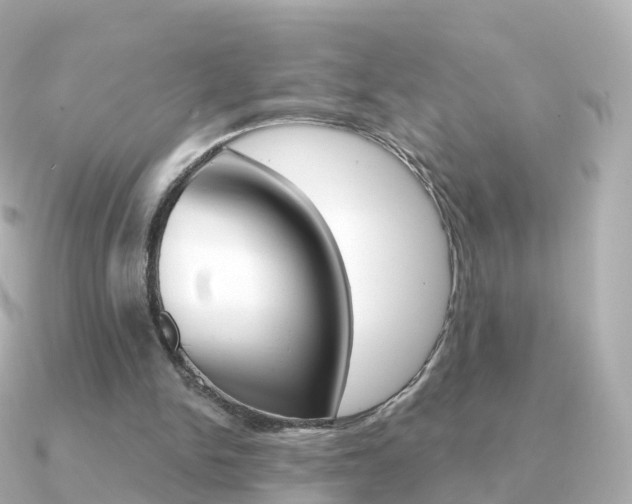 X0000091340150200708101025