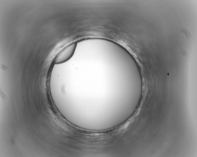 X0000091340151200708101025