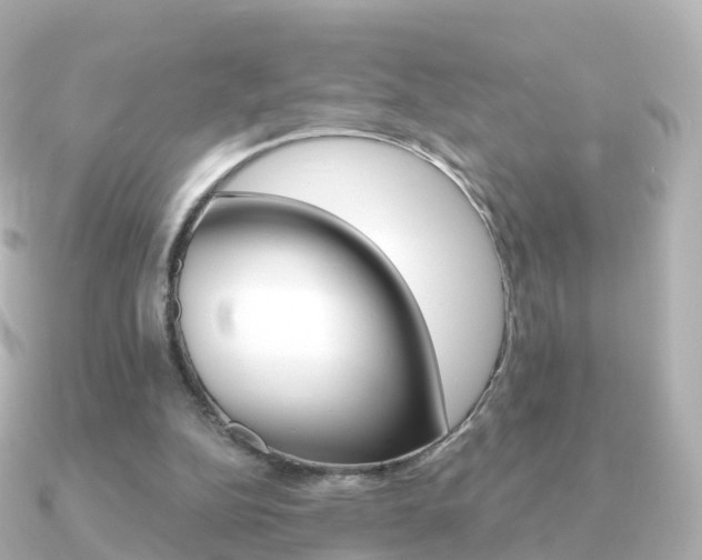 X0000091340152200708101025