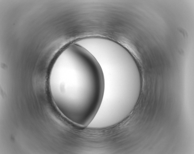 X0000091340156200708101025