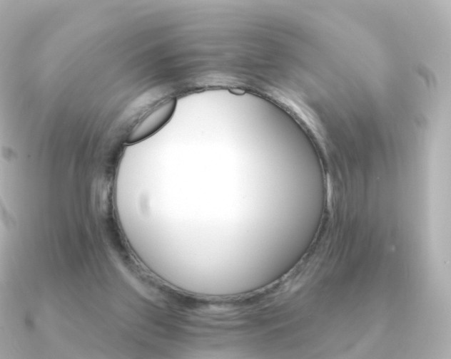 X0000091340157200708101025