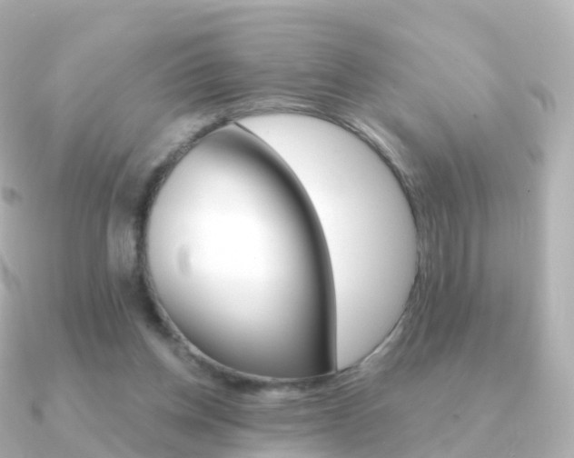 X0000091340158200708101025