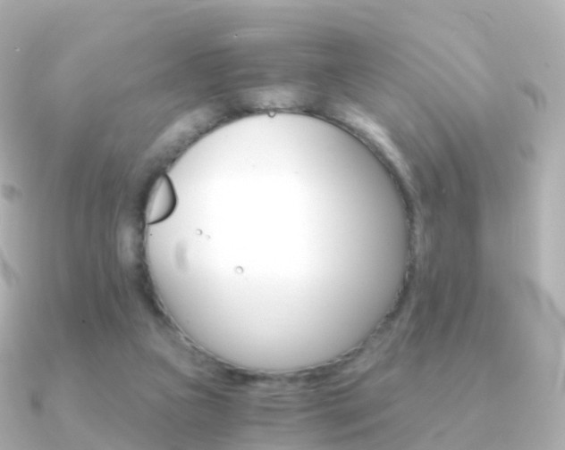 X0000091340161200708101025