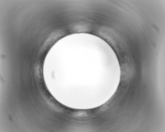 X0000091340162200708101025