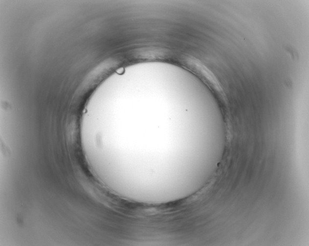 X0000091340163200708101025
