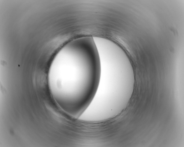 X0000091340164200708101025