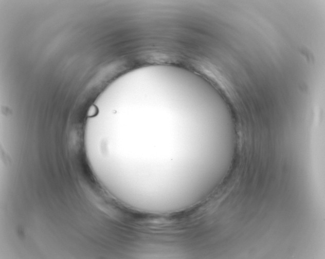 X0000091340165200708101025