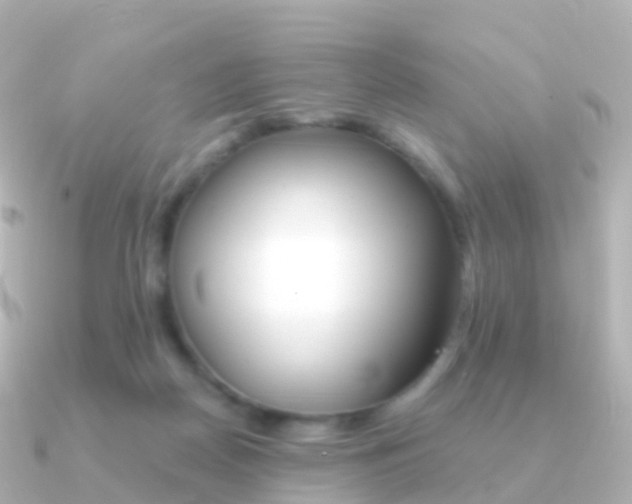 X0000091340170200708101025