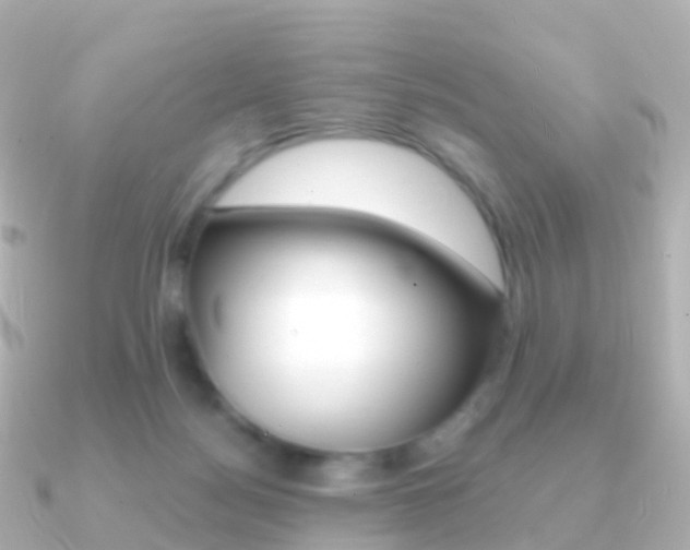 X0000091340172200708101025