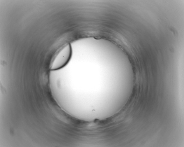 X0000091340173200708101025