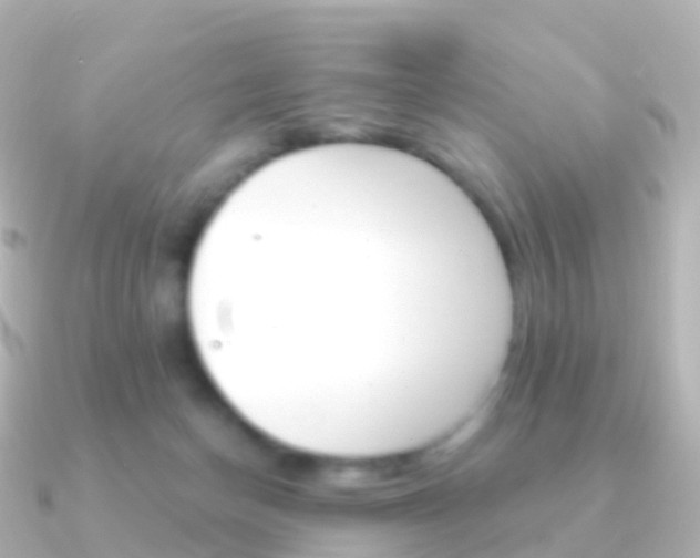 X0000091340174200708101026